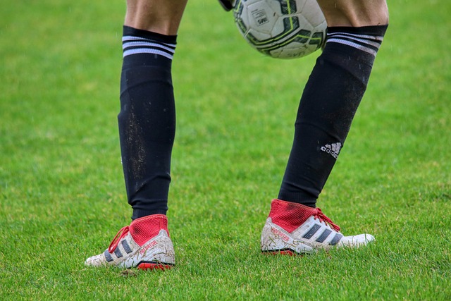 样的名字 样的名字