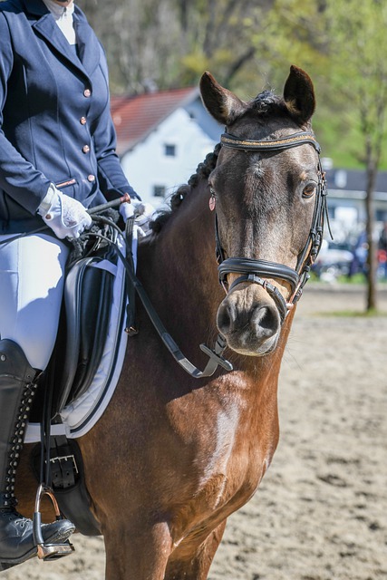 国米快被扑疯了！34岁德赫亚单场7神扑+全队最佳 今夏或重返豪门.