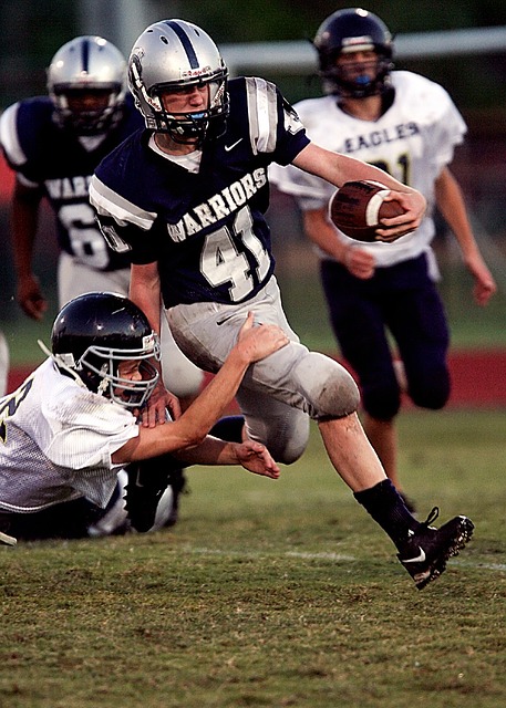 海港将在 海港将在