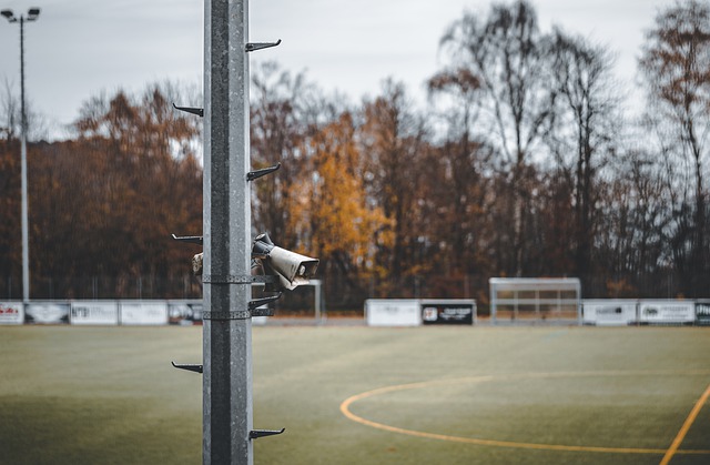 布两位年轻 布两位年轻