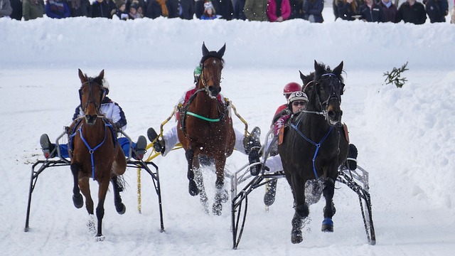 刘翔之后又有中国运动员夺牌了，刘俊茜7秒55获铜牌.