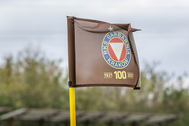 成长历程 成长历程