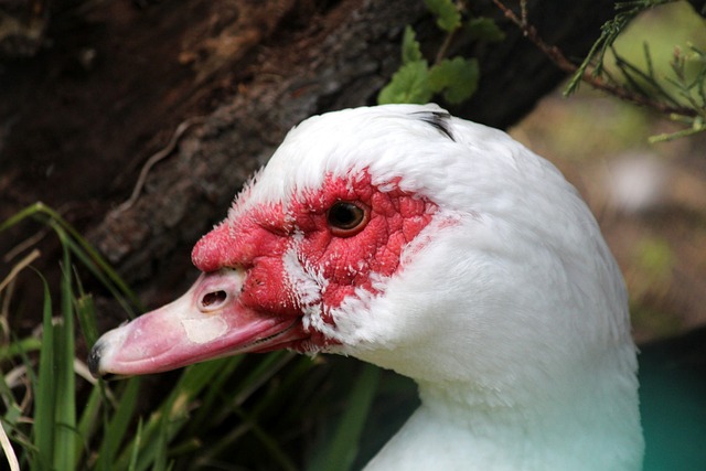 次轮签的潜 次轮签的潜