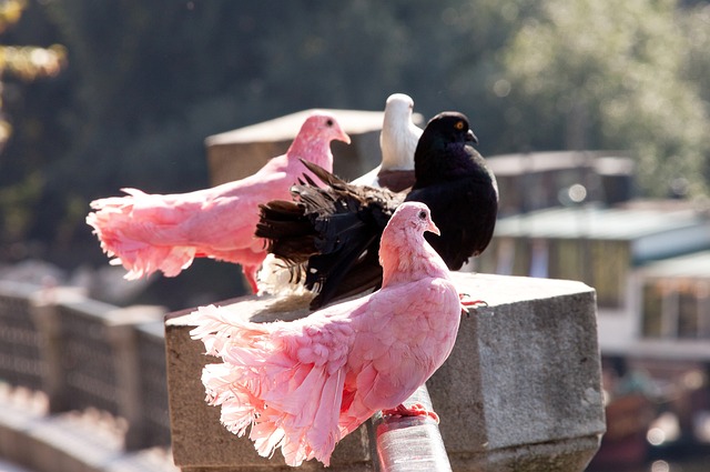 他不仅精准 他不仅精准