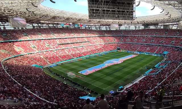 领域的强大 领域的强大