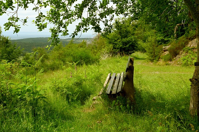 [乒乓球]亚洲杯小组赛第1轮：王艺迪VS金娜英 集锦.