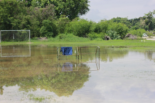 同时也为大 同时也为大