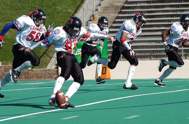 我国首次公 我国首次公