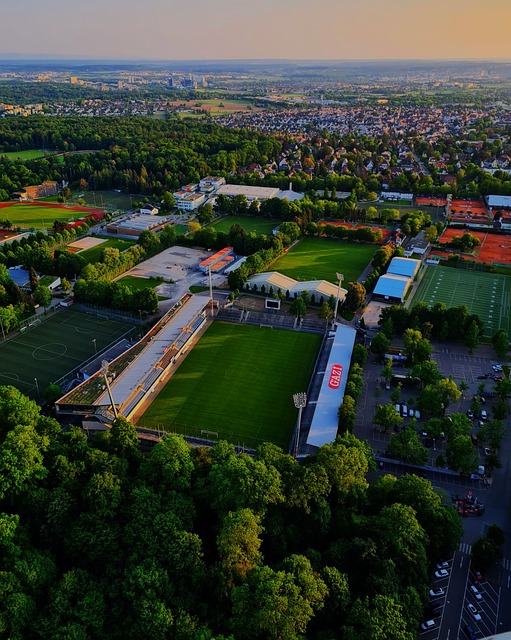 加犀利和多 加犀利和多